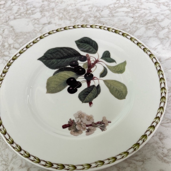 4 Queens Royal Horticultural Society Collection Salad Plates bone china England - Picture 3 of 14